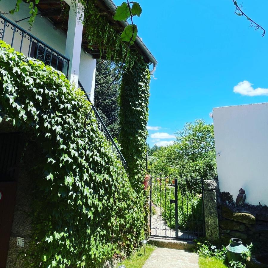 Casa Do Beco B&B Douro - Guest House Parambos المظهر الخارجي الصورة