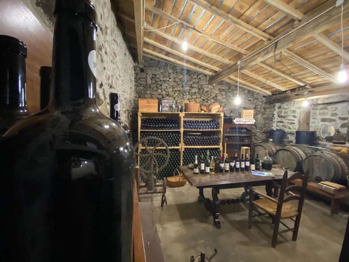 Casa Do Beco B&B Douro - Guest House Parambos المظهر الخارجي الصورة