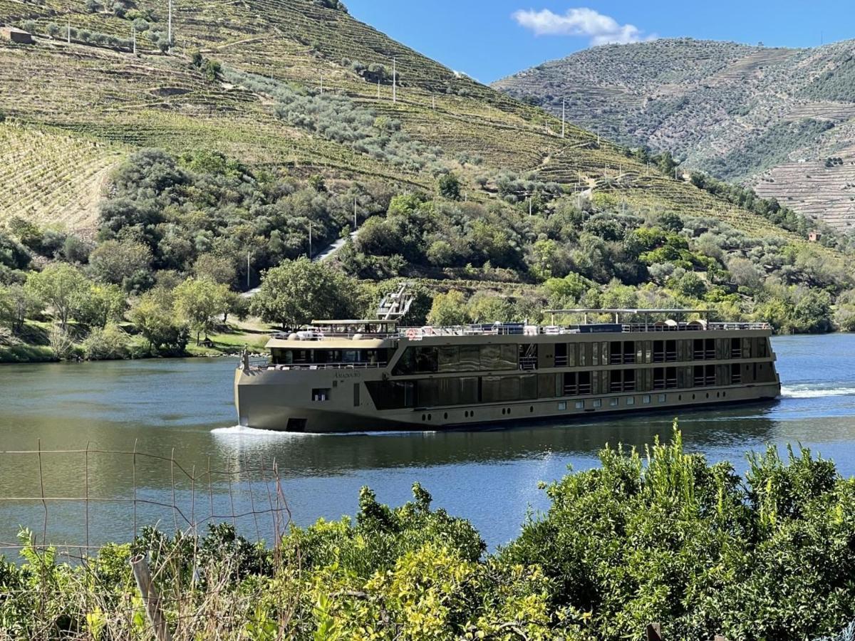 Casa Do Beco B&B Douro - Guest House Parambos المظهر الخارجي الصورة